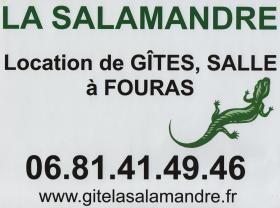 Gîtes La salamandre